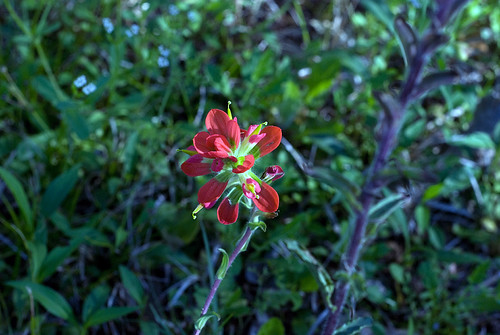 DSC_8427