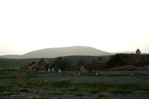 Bedouin tents