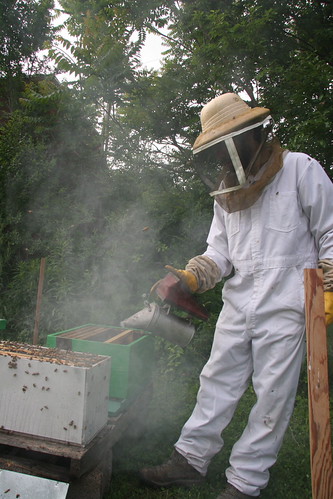 smoking the second hive
