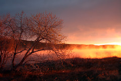 by Rennett Stowe via flickr.com