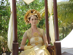 A Wedding At Aryani Write Away