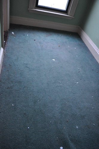 More disgusting carpet