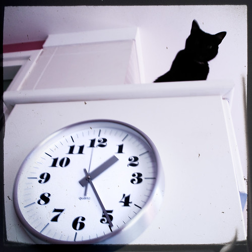 Cat & Clock
