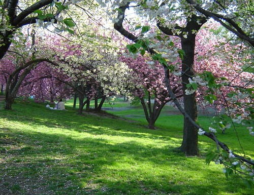 Paradise on the Green