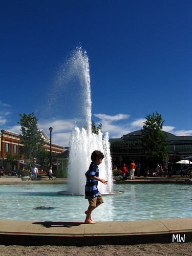 Summer Fountain by Matthew Wallace