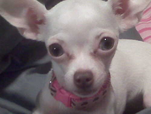 My little one looking cute...