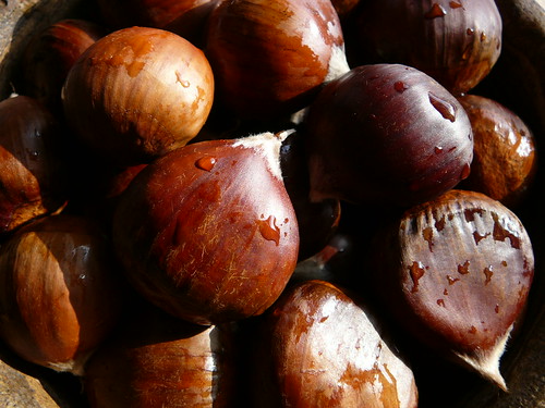 Beautiful Chestnuts