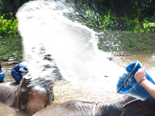 Baan Chang Elephant Park