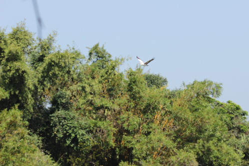 IMG_0403 by tvganesh_85