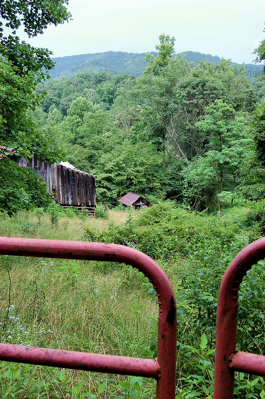 Cherokee National Forest
