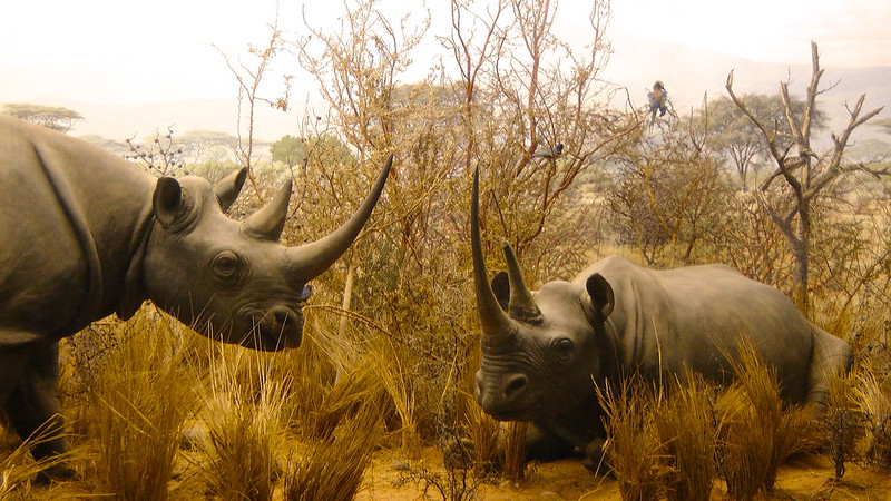 do you ever get bored on internet so you go on internet