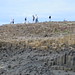 Giant's Causeway