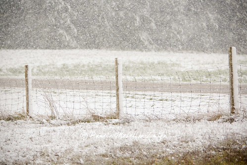 20131026-328C1227-WM by {Pamela Zmija Photography}