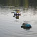 Once were minions (in Druskininkai)