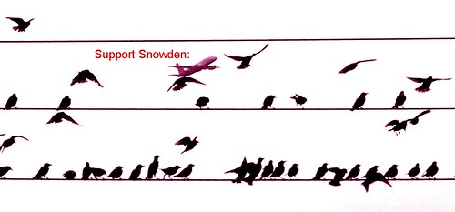 Support Snowden