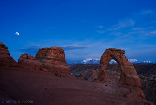 Delicate Lovers - Nikon D300