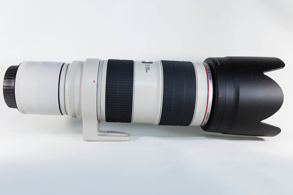 かわいい～！」 waterfront avenueCanon エクステンダー EF2X III