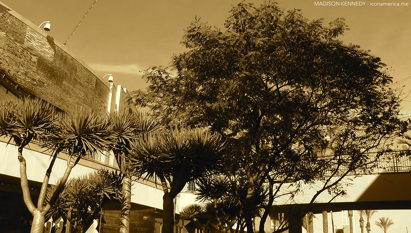 Los Angeles is Wonderland