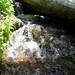 SAM_4653