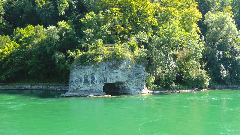 i dream for a living