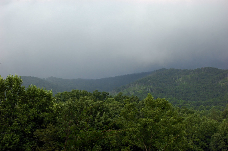 Cherokee National Forest