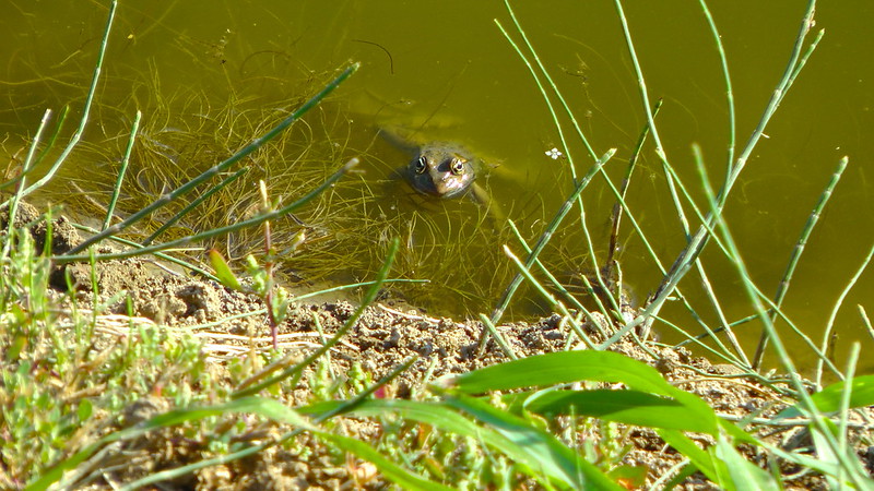 i spilled strawberry juice all over my macbook keyboard f'ck meeee