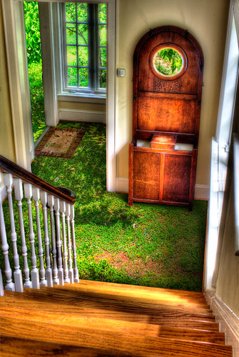 Grass Carpet by Dan Russell-Pinson