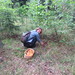 Mushroom hunting
