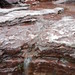 SAM_4272
