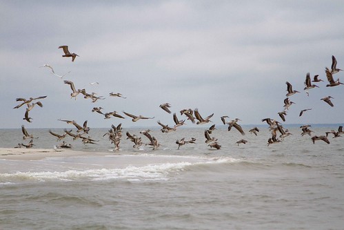 Charleston - Kiawah, South Carolina