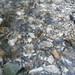 SAM_4572