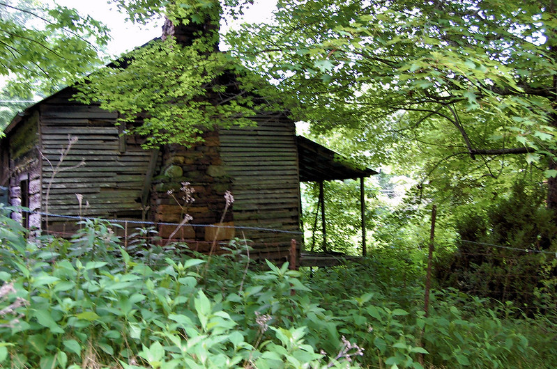 Cherokee National Forest