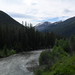 SAM_4585
