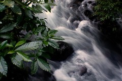 07_01_10_IMG_0751