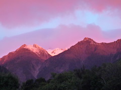 Alpengluehen Fox Glacier
