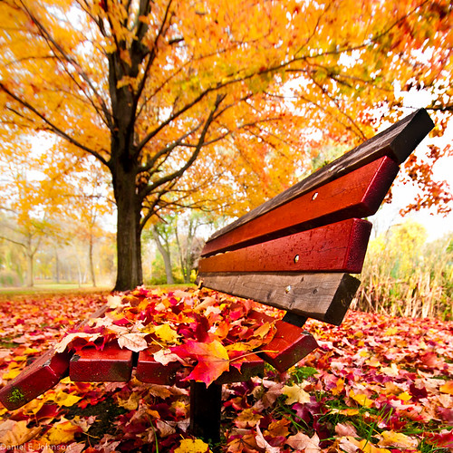 Down By The River Side