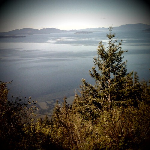 Oyster Dome hike