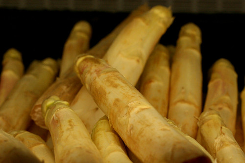White asparagus 2