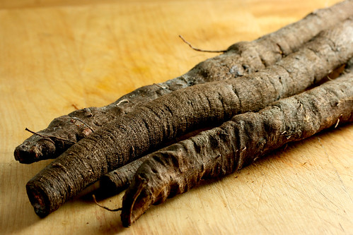 Salsify