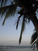 Playa de Puerto Viejo 1
