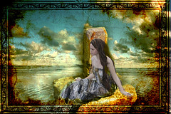 Stranded Selkie