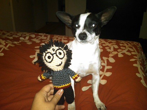 My first self-patterned project! Mr. Potter himself!