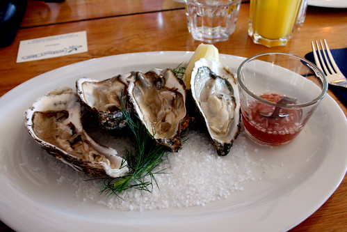 Oysters