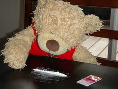 Petit Ours 