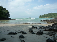 Wilde Dschungelbucht im Manuel Antonio NP