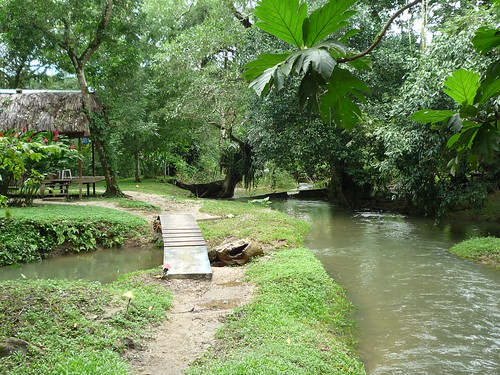 Unser Haus dort unten am Fluss, Palenque