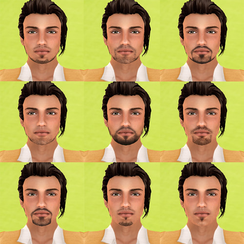 LAQ review head