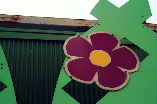 not quite plum, and rust