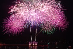 Pink shell bursts