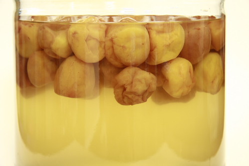 Mơ ngâm